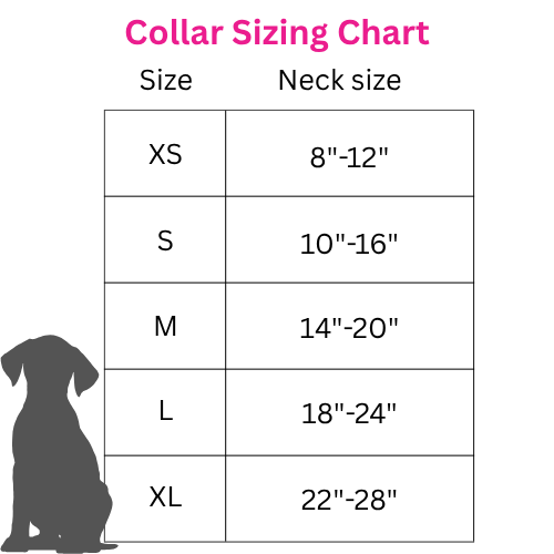 Bloom Dog collar sizing chart with XS to XL sizes for dog neck measurements