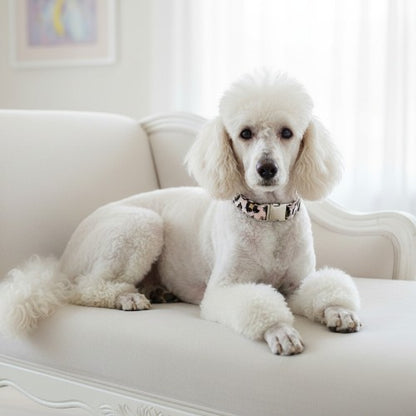 Cheetah print Collar