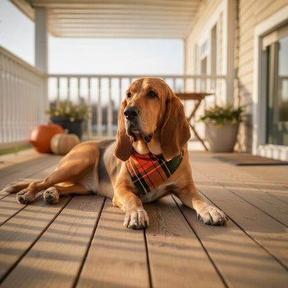 Fall Flannel Bandana