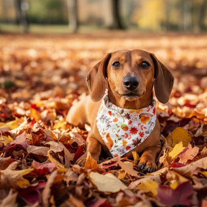Fall Leaves Bandana