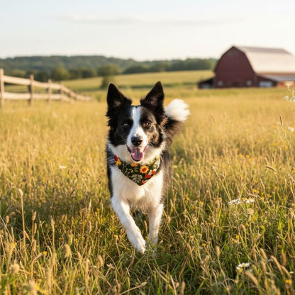 Fall Mushroom Bandana