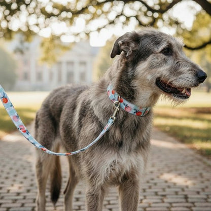 Peaches 25in control leash