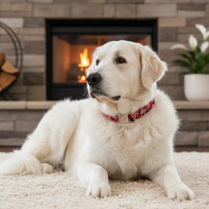 Snowflake Christmas Collar